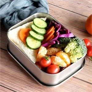 Roestvrijstalen vierkante lunchbox